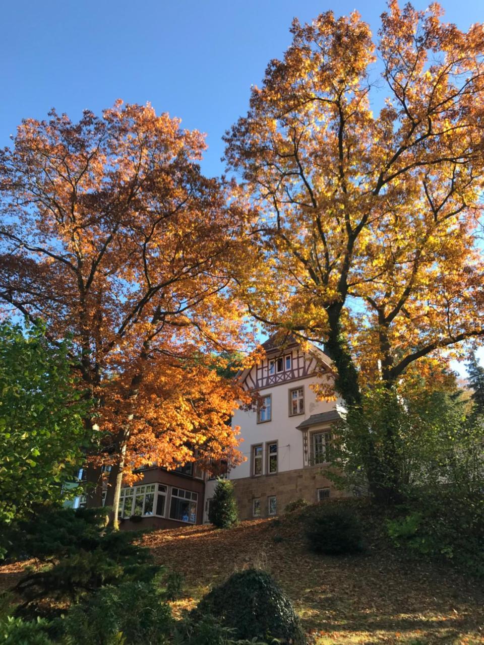Waldhotel Bad Munstereifel Bagian luar foto